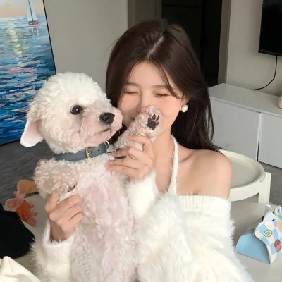 秘舞41剧照